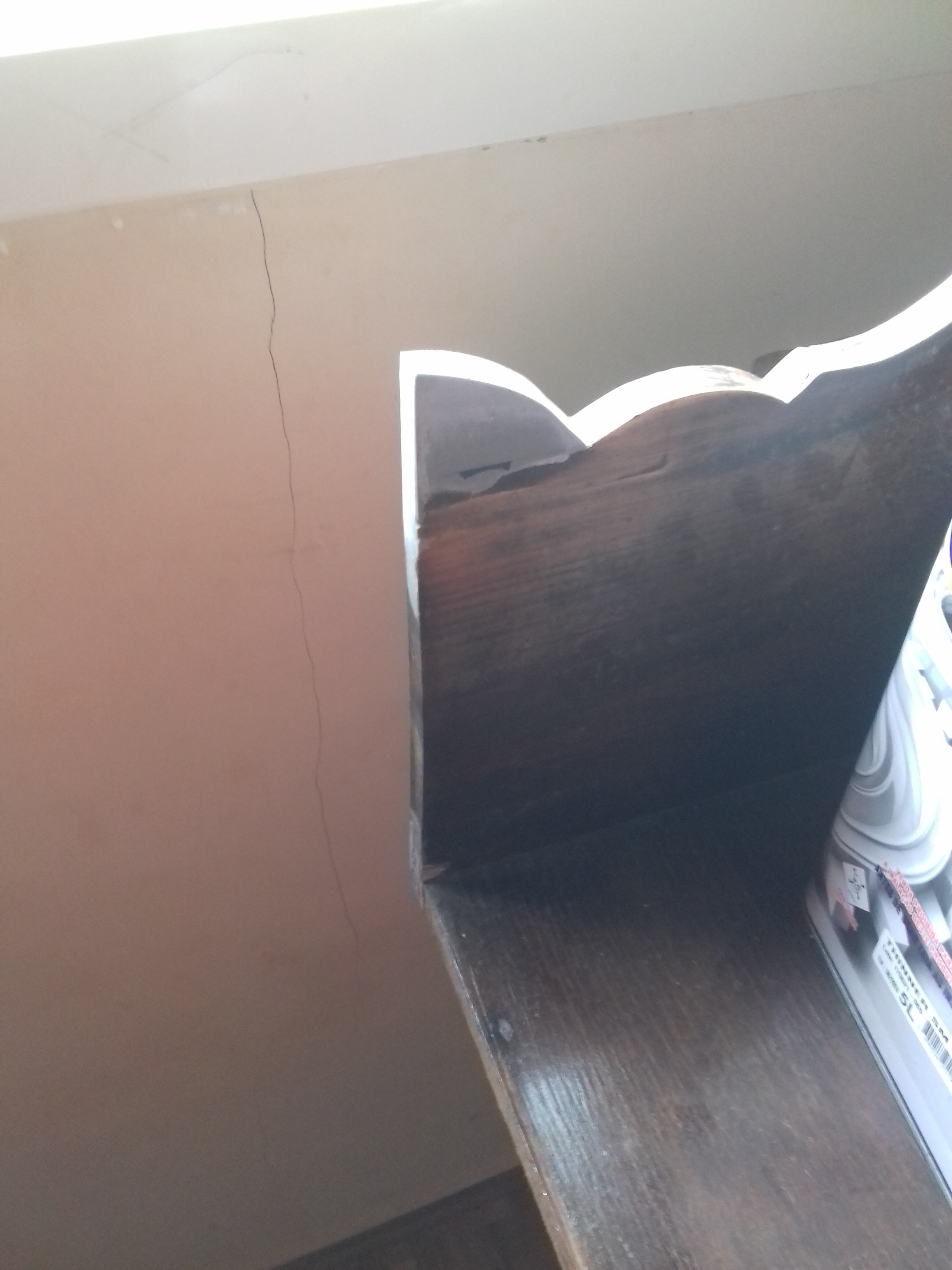 Enxerto com Massa Plastica